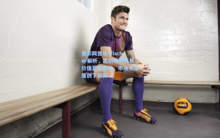 竟彩网首页-Fischer解析，武切维奇交易价值显著攀升，市场关注度创下新高