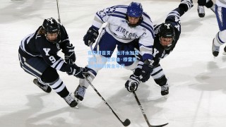 竟彩网首页：当汗水加冕王冠，回望安迪·穆雷那史诗般的黄金年代